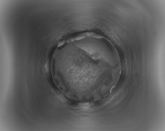 X0000112750131200908201425