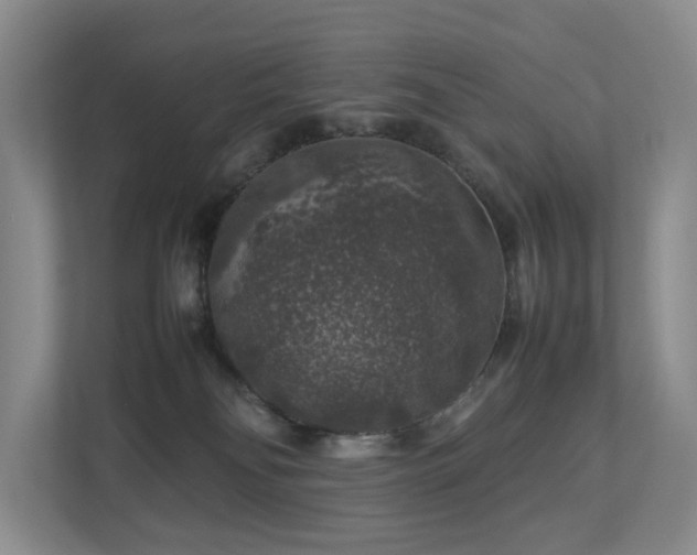 X0000112750134200908201425