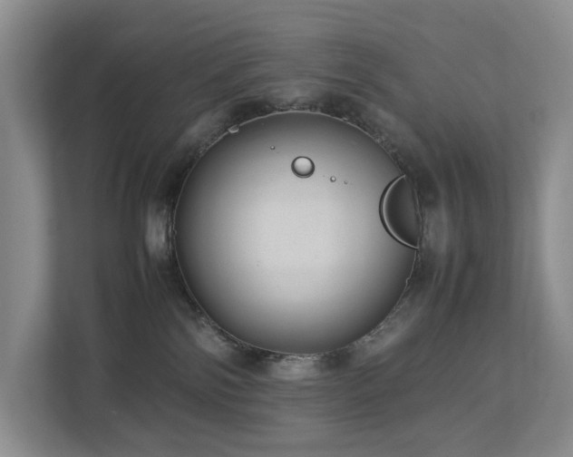 X0000112750138200908201425