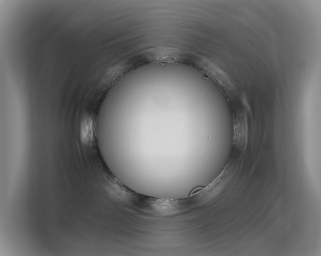 X0000112750142200908201425