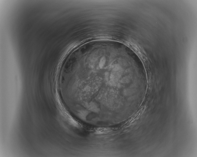 X0000112750145200908201425