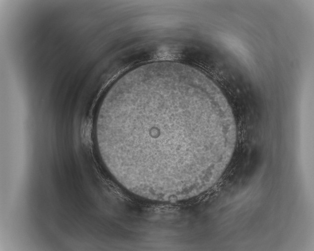 X0000112750146200908201425