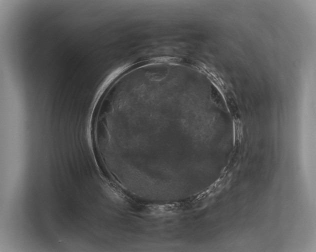 X0000112750147200908201425