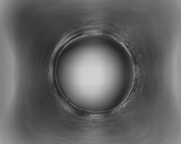 X0000112750150200908201425