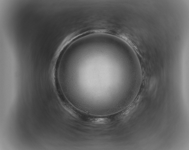 X0000112750151200908201425