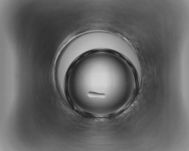 X0000112750152200908201425