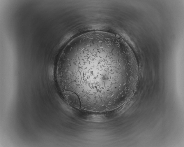 X0000112750154200908201425