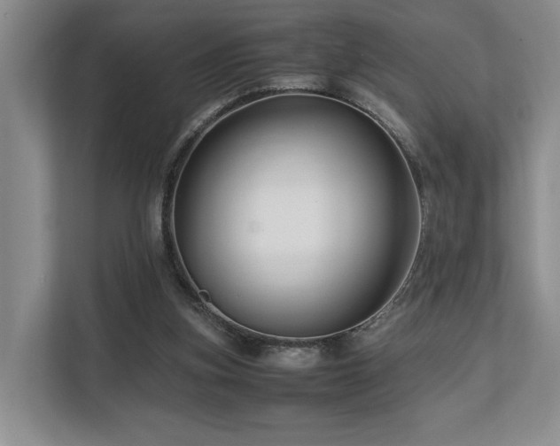 X0000112750155200908201425