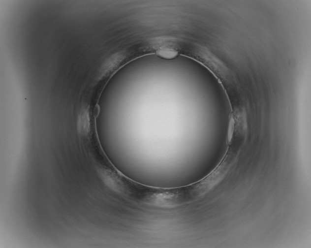 X0000112750158200908201425