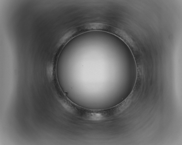 X0000112750159200908201425