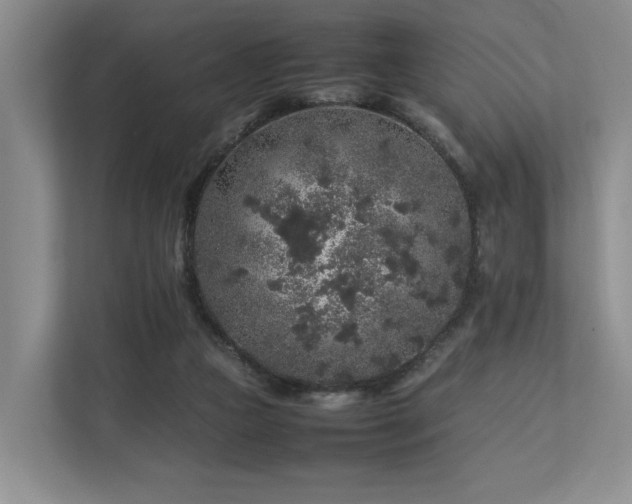 X0000112750161200908201425