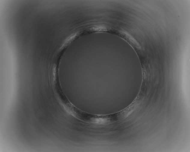 X0000112750163200908201425