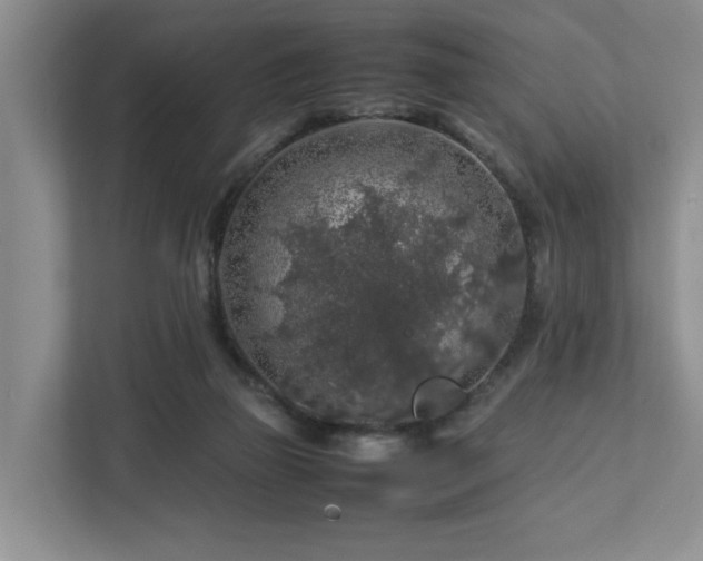 X0000112750165200908201425