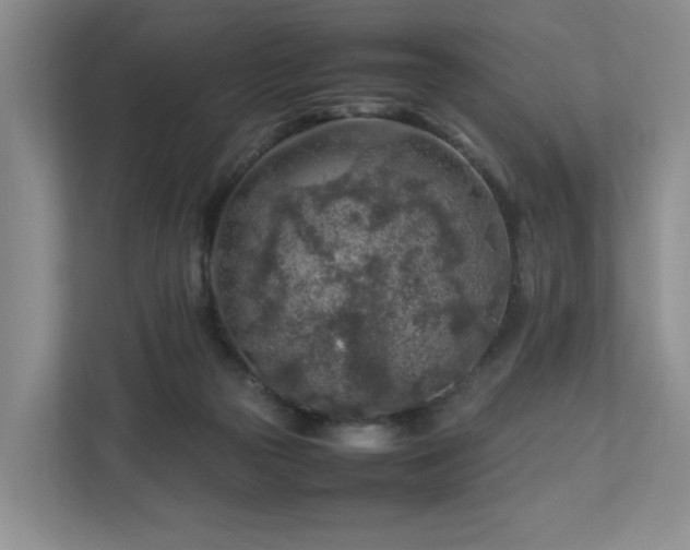 X0000112750169200908201425