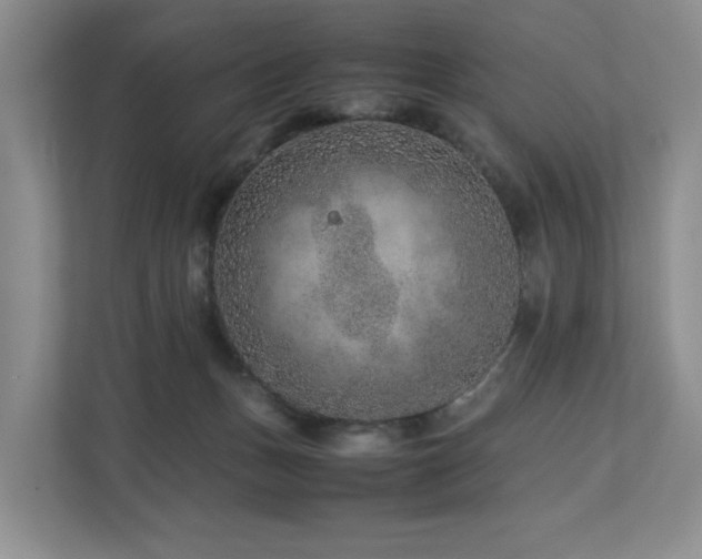 X0000112750175200908201425