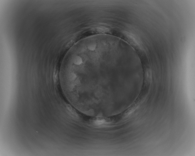 X0000112750177200908201425