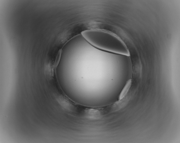 X0000112750180200908201425