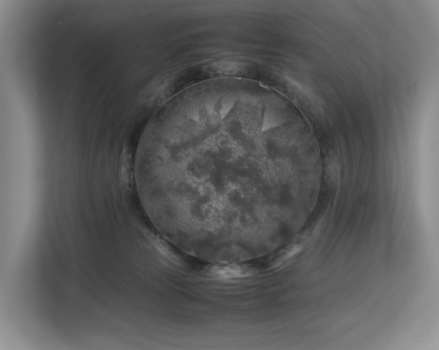 X0000112750181200908201425