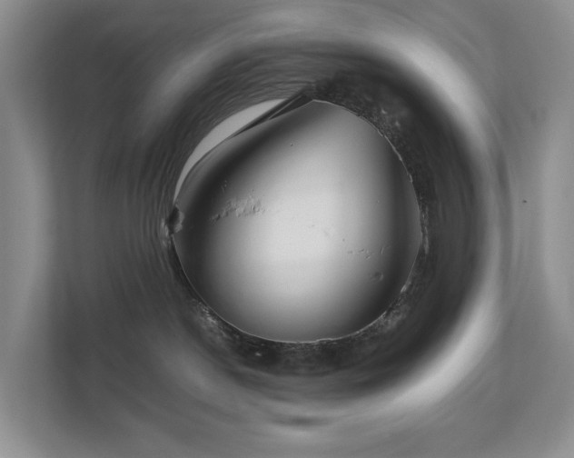 X0000112750190200908201425