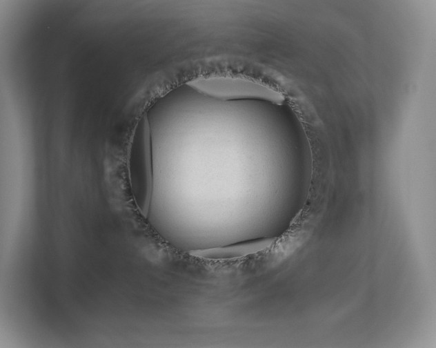 X0000112750192200908201425