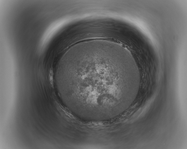 X0000112750194200908201425