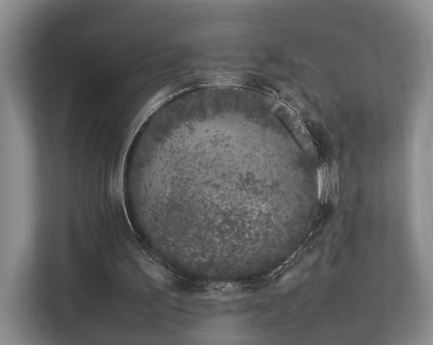 X0000112750195200908201425