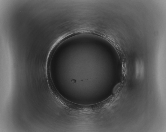 X0000112750196200908201424