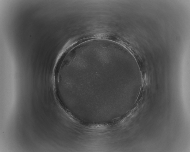 X0000112750198200908201424