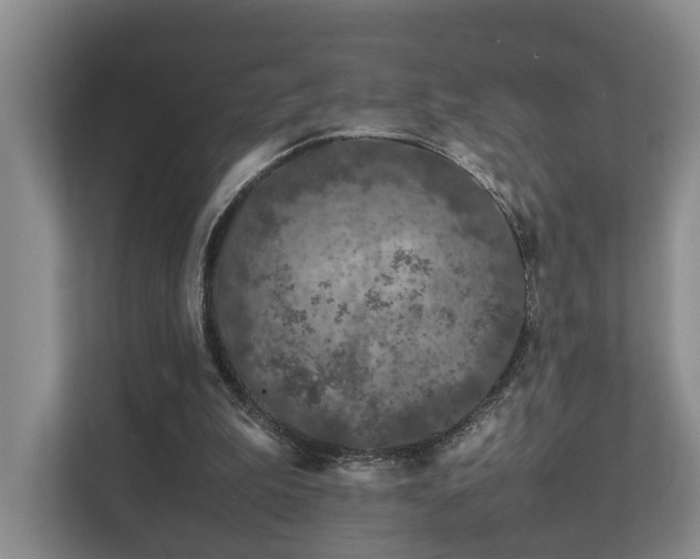 X0000112750199200908201424