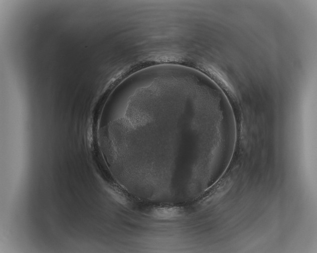 X0000112750202200908201424