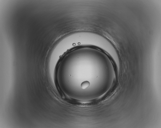 X0000112750203200908201424