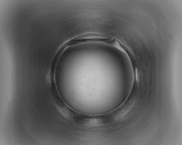 X0000112750204200908201424