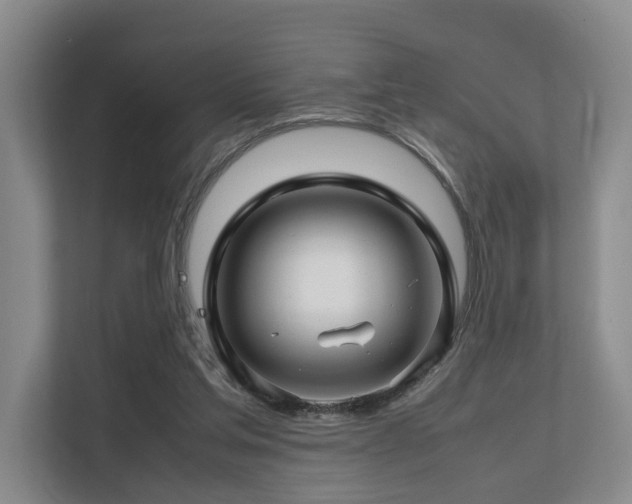 X0000112750205200908201424