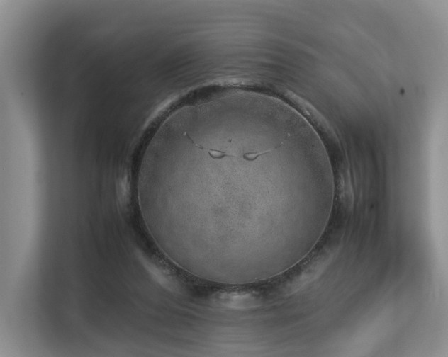 X0000112750208200908201424