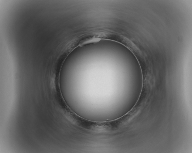 X0000112750209200908201424