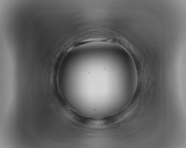 X0000112750217200908201424