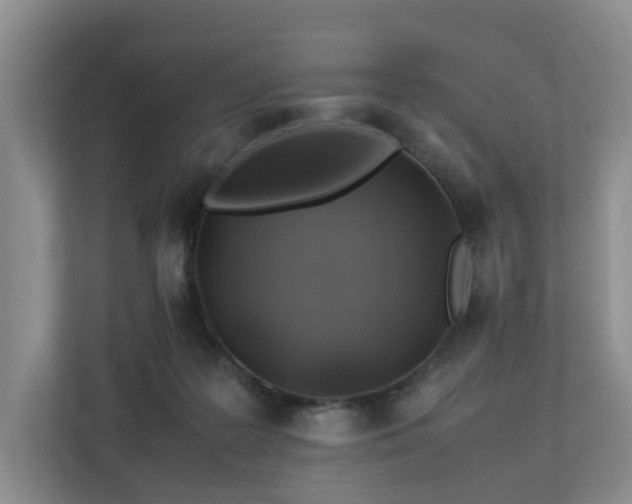 X0000112750219200908201424