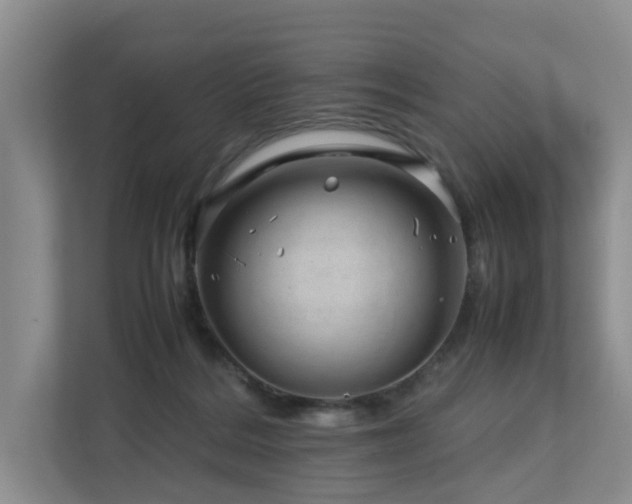 X0000112750220200908201424