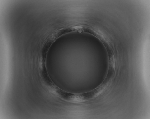 X0000112750223200908201424