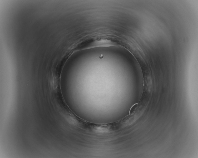 X0000112750232200908201424