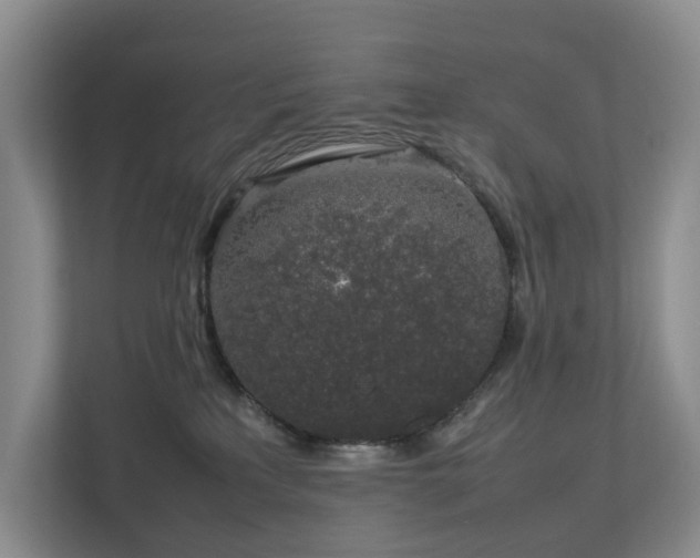 X0000112750233200908201424