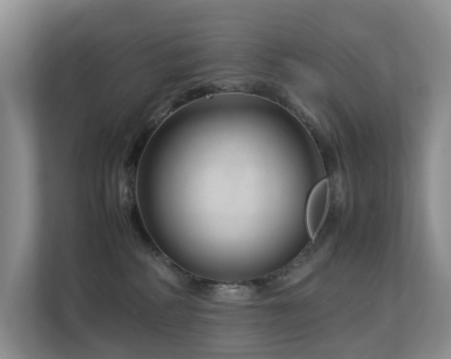 X0000112750234200908201424