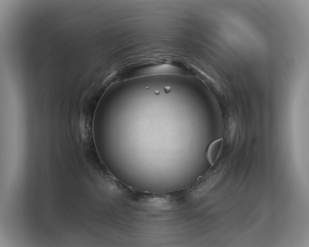 X0000112750236200908201424