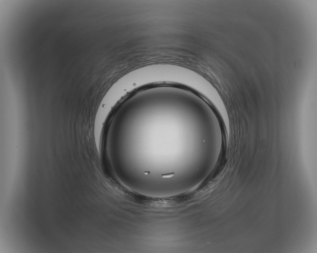 X0000112750237200908201424