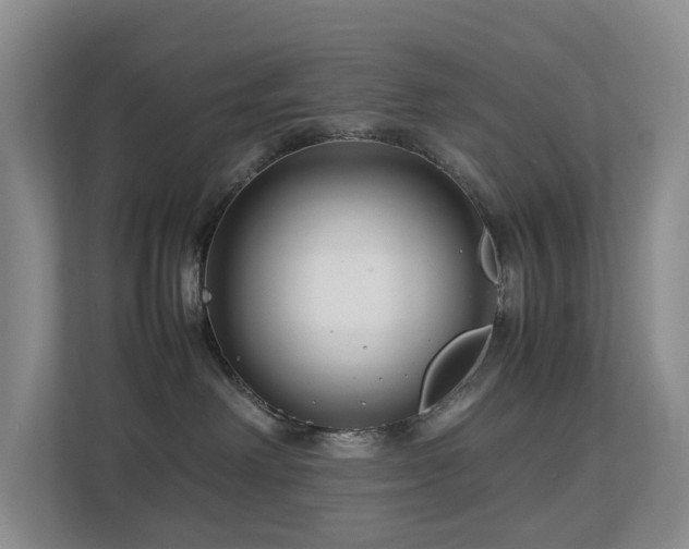 X0000112750238200908201424