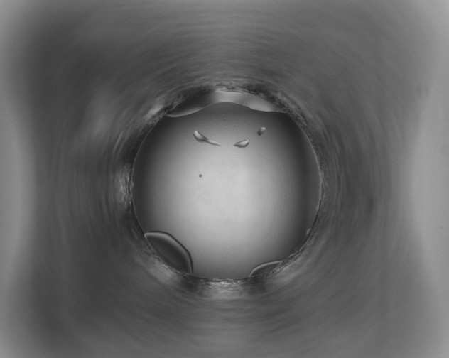 X0000112750240200908201424