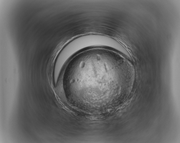 X0000112750241200908201423