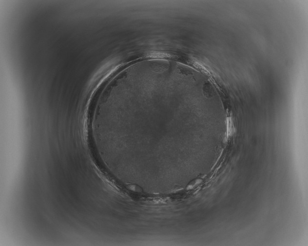 X0000112750243200908201423