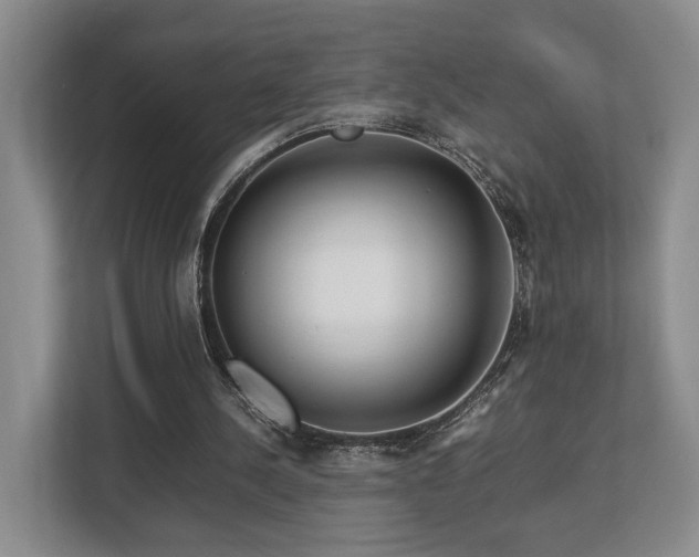 X0000112750244200908201423