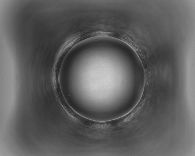 X0000112750245200908201423